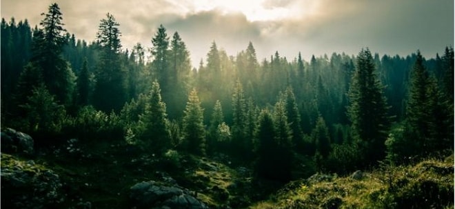 Schroders: Anlagen in Naturkapital - Vorteile und Hindernisse