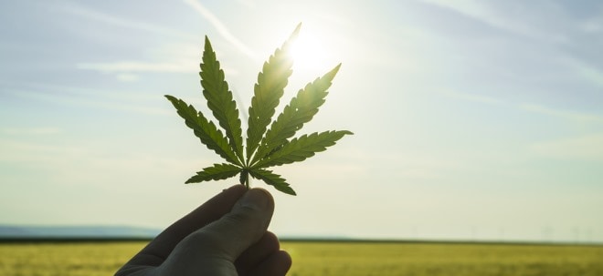 Cannabis-ETFs mit Kursexplosion - Legalisierungstrend schiebt Marihuana-Branche an