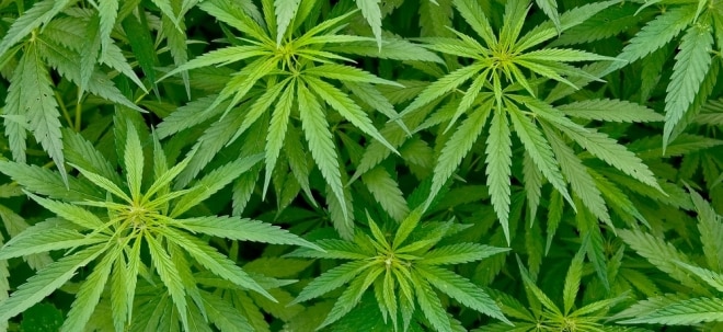 SPAC schlägt gleich bei vier Cannabis-Unternehmen zu