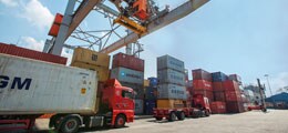 Studie Exporteure arrangieren sich mit Frankenstärke