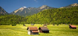 Immobilien Hauskauf trotz steigender Preise?