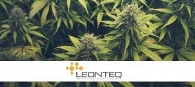 Leonteq - Cannabis