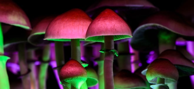 Nach Kryptos und Cannabis-Aktien: Magic Mushrooms sind zurück