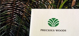 Sinkenden Gesamteinnahmen Precious Woods reduziert Verlust 2012