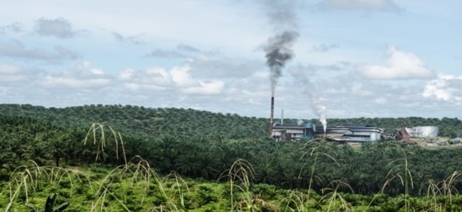 Schroders: Palm oil: how bad is it really?